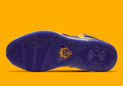 Nike LeBron 8 Lakers