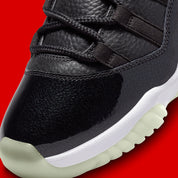 Air Jordan 11 Retro Low 72-10