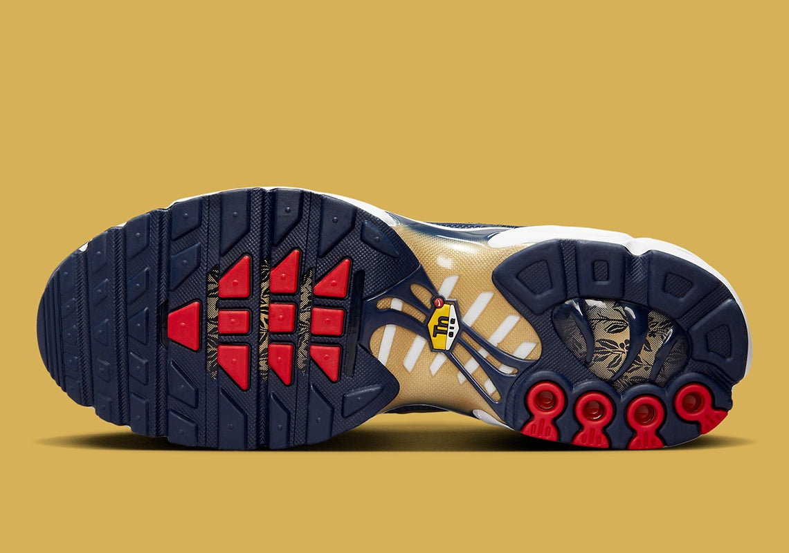 Chaussure nike air top max equipe de france