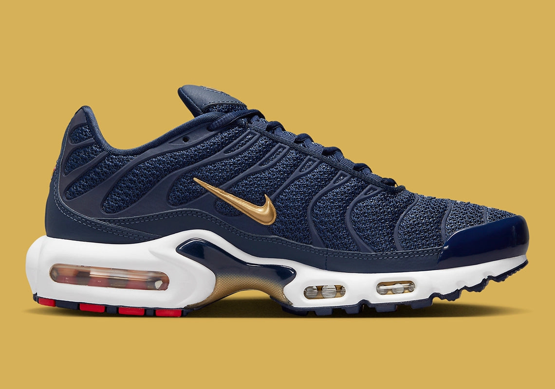 Nike Air Max Plus FFF GlobalSneakers