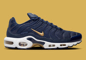 Nike Air Max Plus FFF