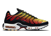 Nike Air Max Plus Greedy