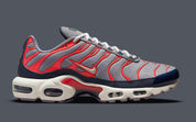 Nike Air Max Plus USA Grey