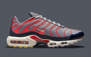 Nike Air Max Plus USA Grey
