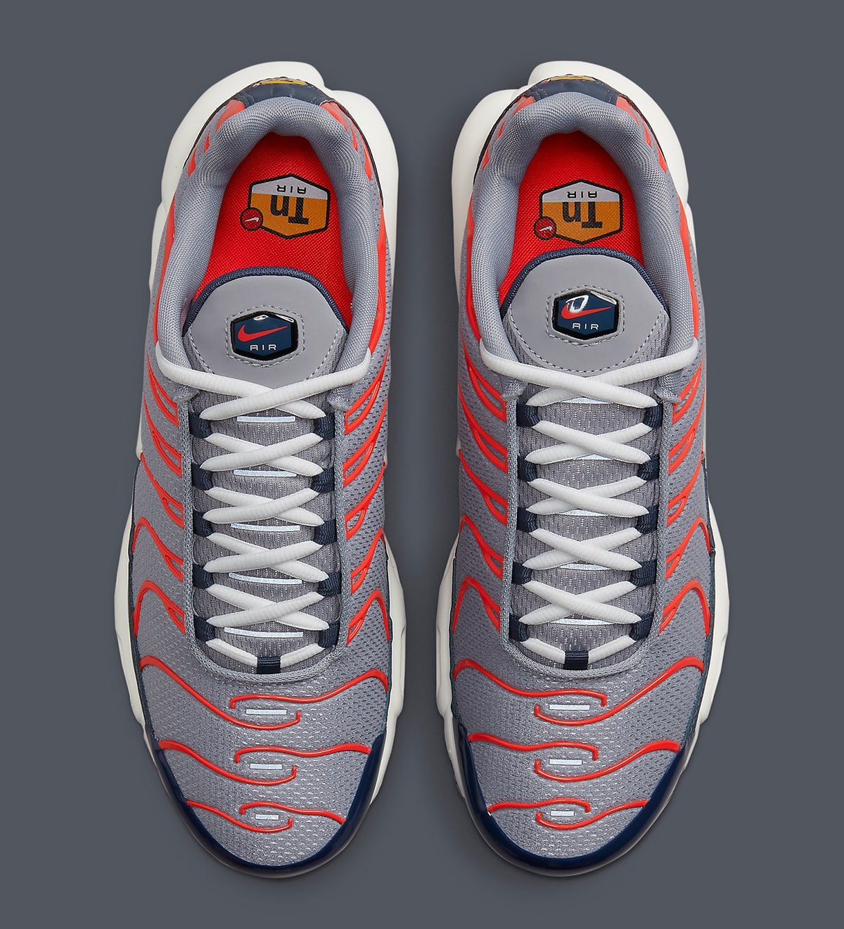 Nike Air Max Plus USA Grey