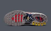 Nike Air Max Plus USA Grey