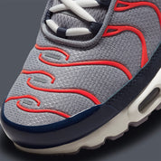 Nike Air Max Plus USA Grey