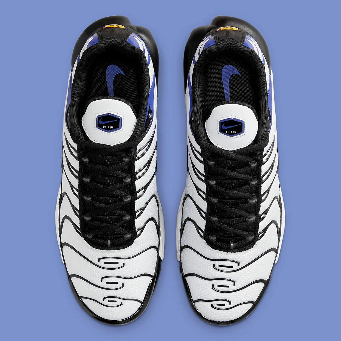 Chaussures Tn Blanche Bleu Violet Nike Air Max Plus Baltic Blue
