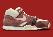 Nike Air Trainer 1 Valentine's Day (2023)