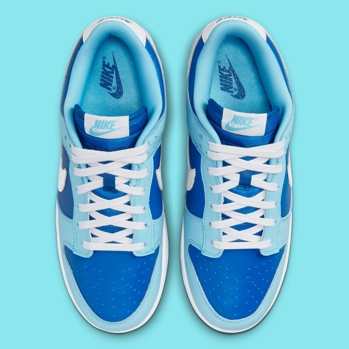 Nike Dunk Low Retro QS Argon (2022)