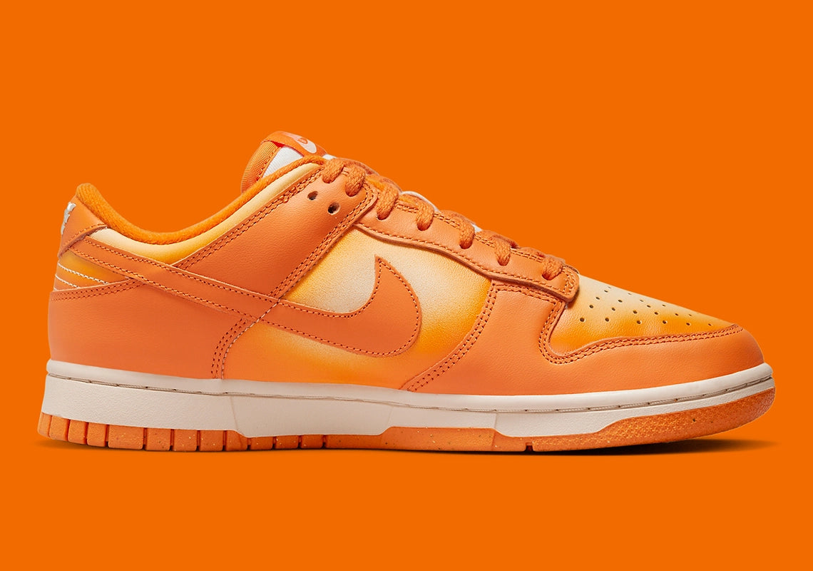 Nike air dunk low sales