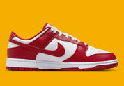 Nike Dunk Low USC