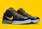Nike Kobe 4 Protro Carpe Diem