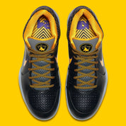 Nike Kobe 4 Protro Carpe Diem
